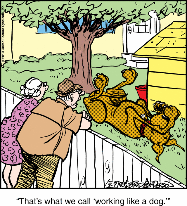 marmaduke